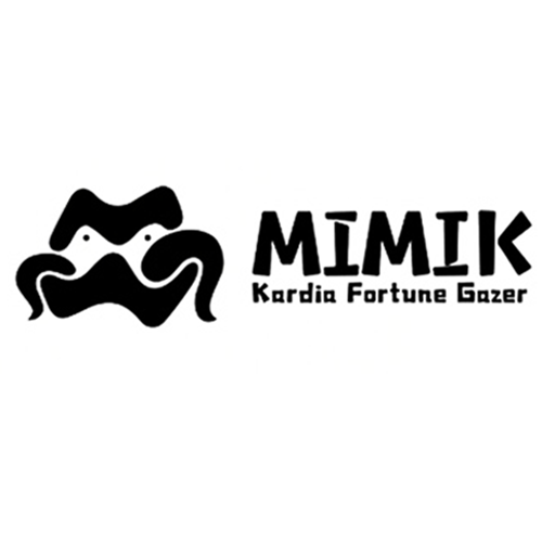 MIMIK