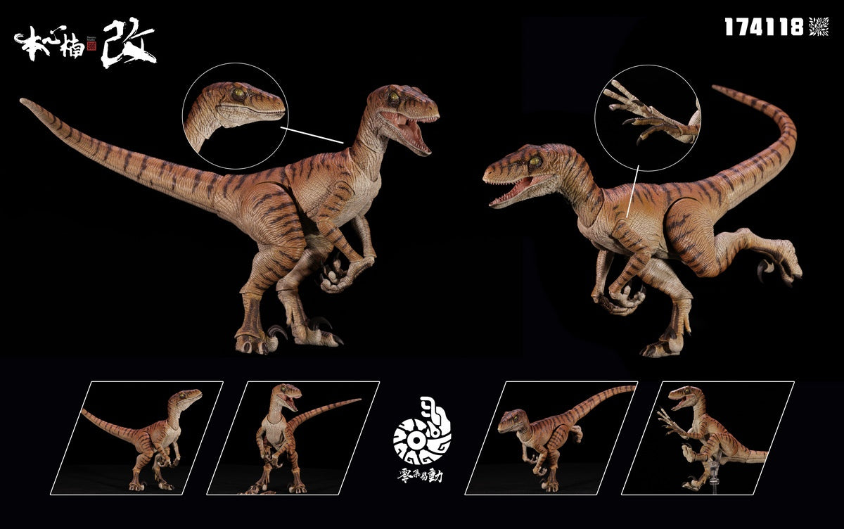 PRE ORDER – NANMU STUDIO ZERO-SET EASY MOTION RAPTOR 2.5 HIGHLY ARTICULATED DINOSAUR FIGURE 174118 TIGER BLADE