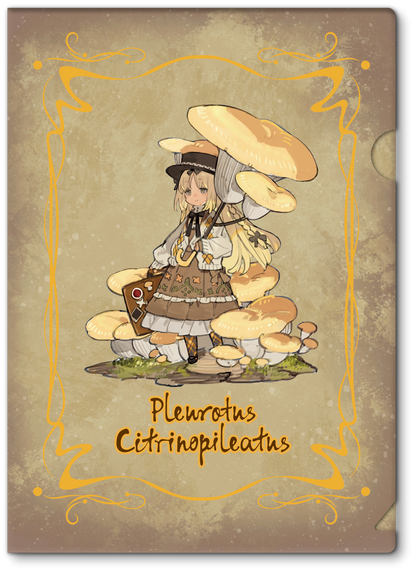 PRE ORDER – 1/1 MUSHROOM GIRLS SERIES NO.3 PLEUROTUS CITRINOPILEATUS