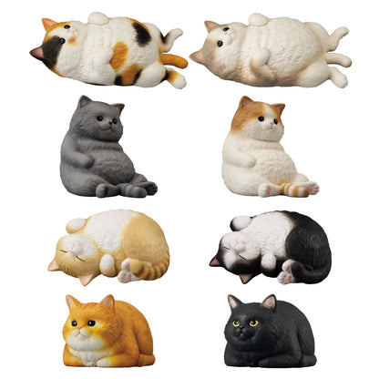 PRE ORDER – MOCCHIRI KORORIN CAT W/O GUM SET (BOX OF 12)