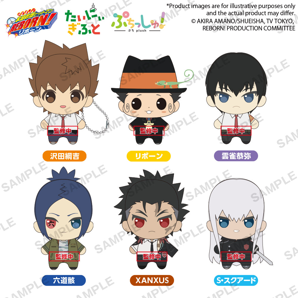 PRE ORDER – PUCHISH! KATEKYO HITMAN REBORN! - TSUNAYOSHI SAWADA