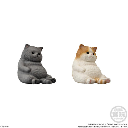 PRE ORDER – MOCCHIRI KORORIN CAT W/O GUM SET (BOX OF 12)