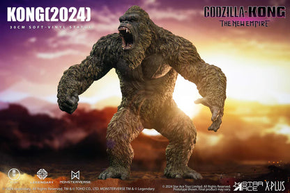 PRE ORDER – KONG (2024)