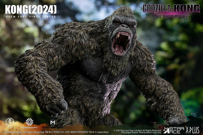 PRE ORDER – KONG (2024)