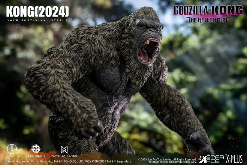 PRE ORDER – KONG (2024)