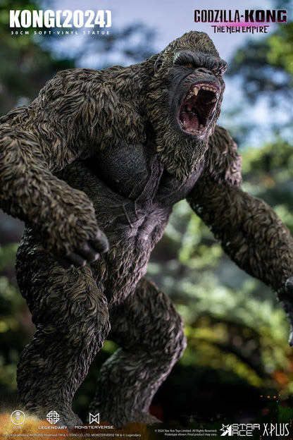 PRE ORDER – KONG (2024)