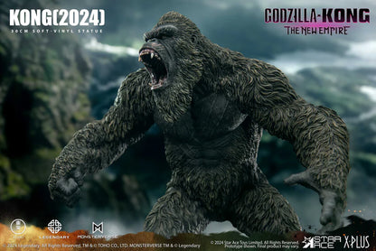 PRE ORDER – KONG (2024)