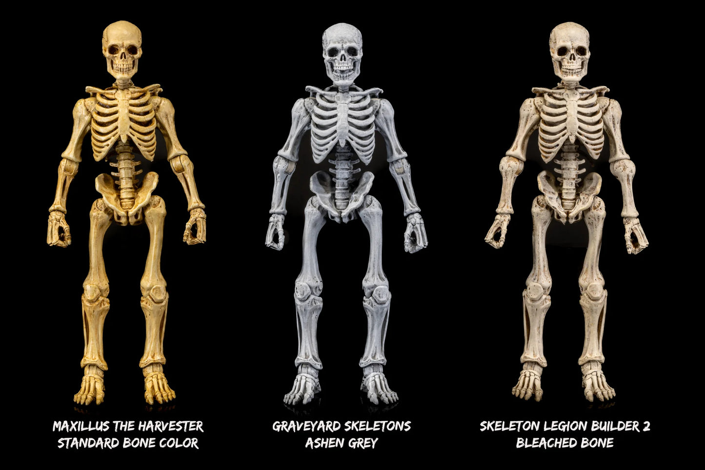 PRE ORDER – GRAVEYARD SKELETONS 4-PACK